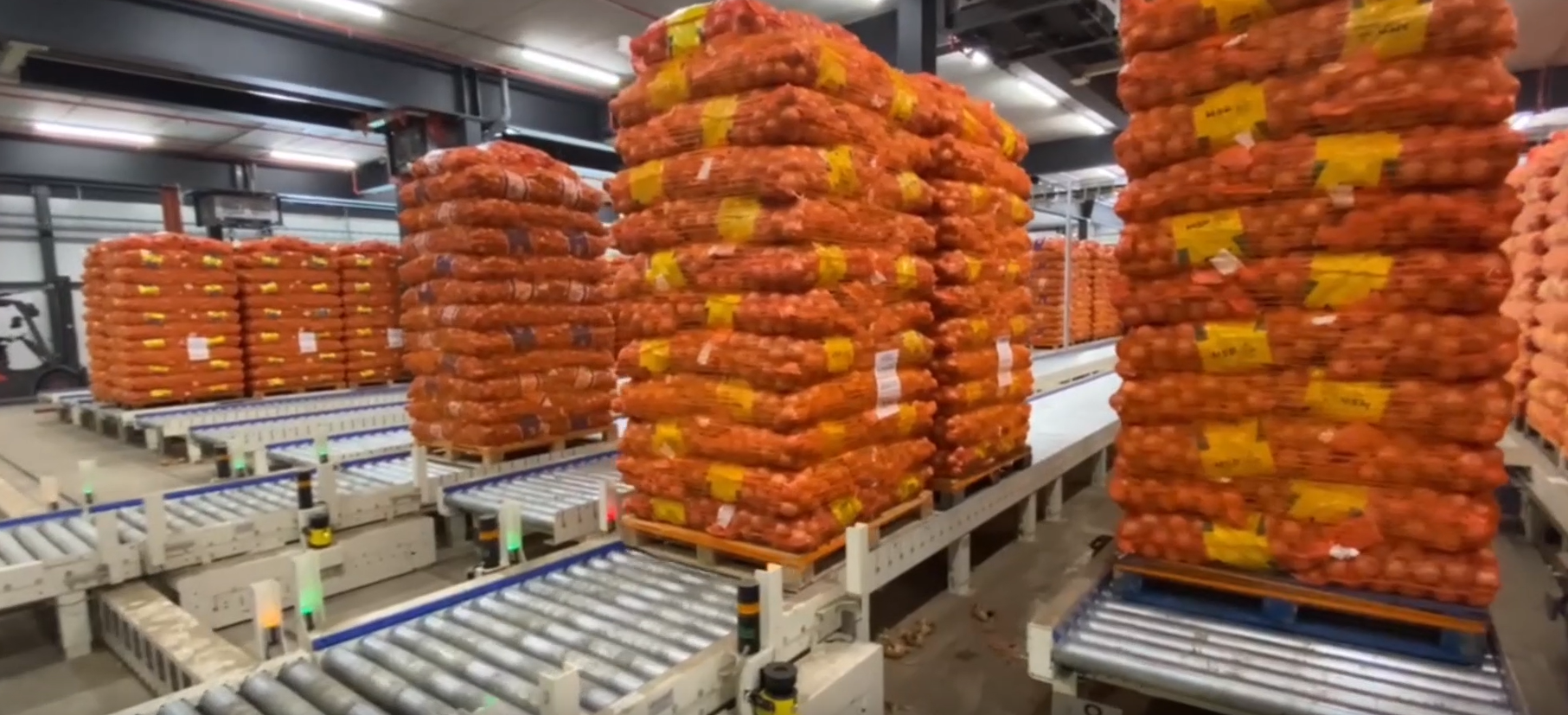 Floor Space Requirements for Palletizing Systems: A Layout Planning Guide