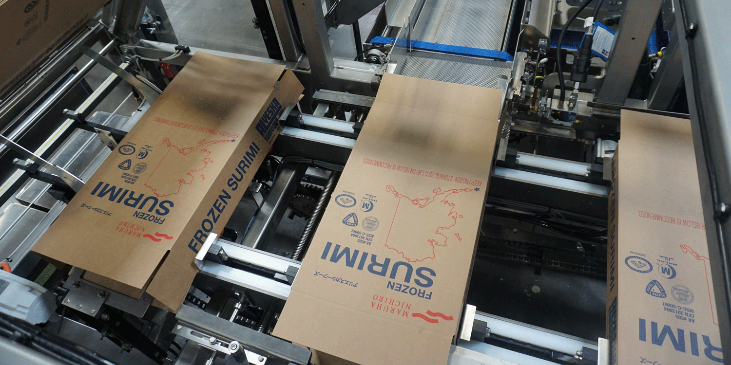 Nigrelli KD 20 Case Packer - Frozen Food