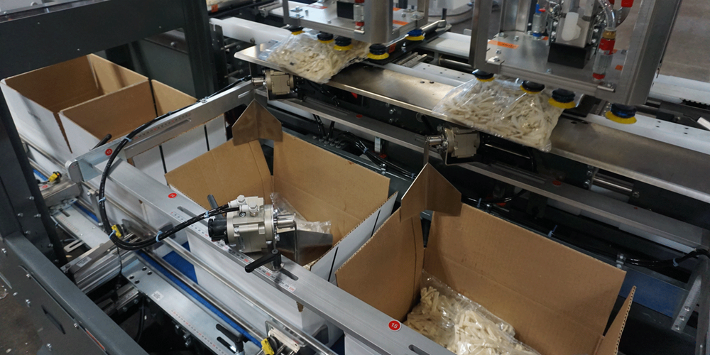 Nigrelli TL 20 Case Packer - IQF