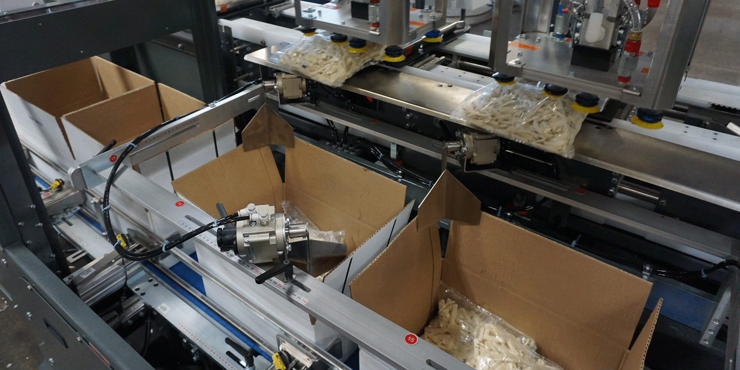 Nigrelli TL 20 Case Packer - IQF