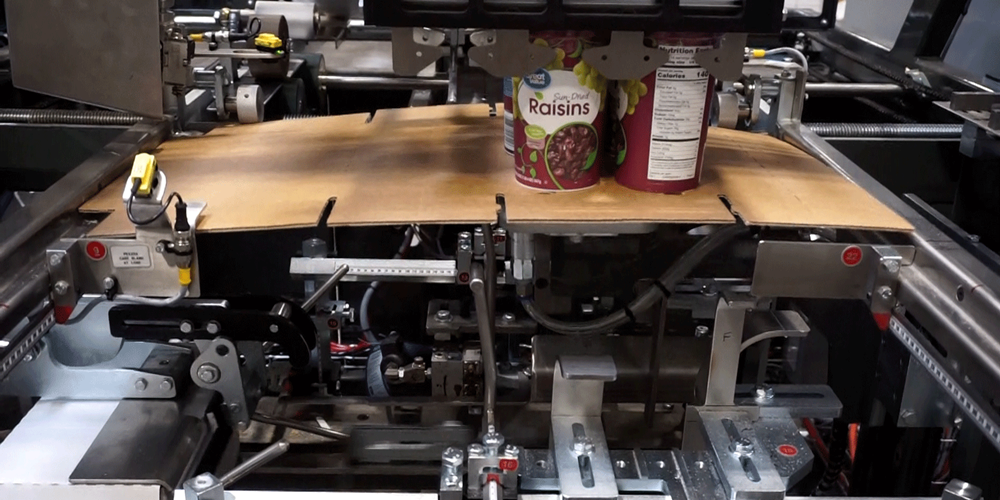 Nigrelli WP 25 WrapAround Case Packer - Snack Food