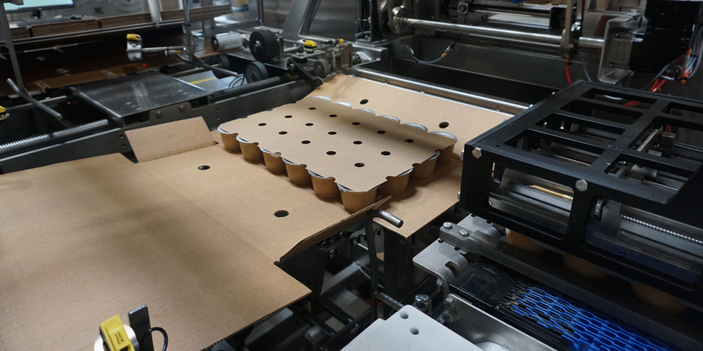 Nigrelli WP 25 WrapAround Case Packer - Snacks